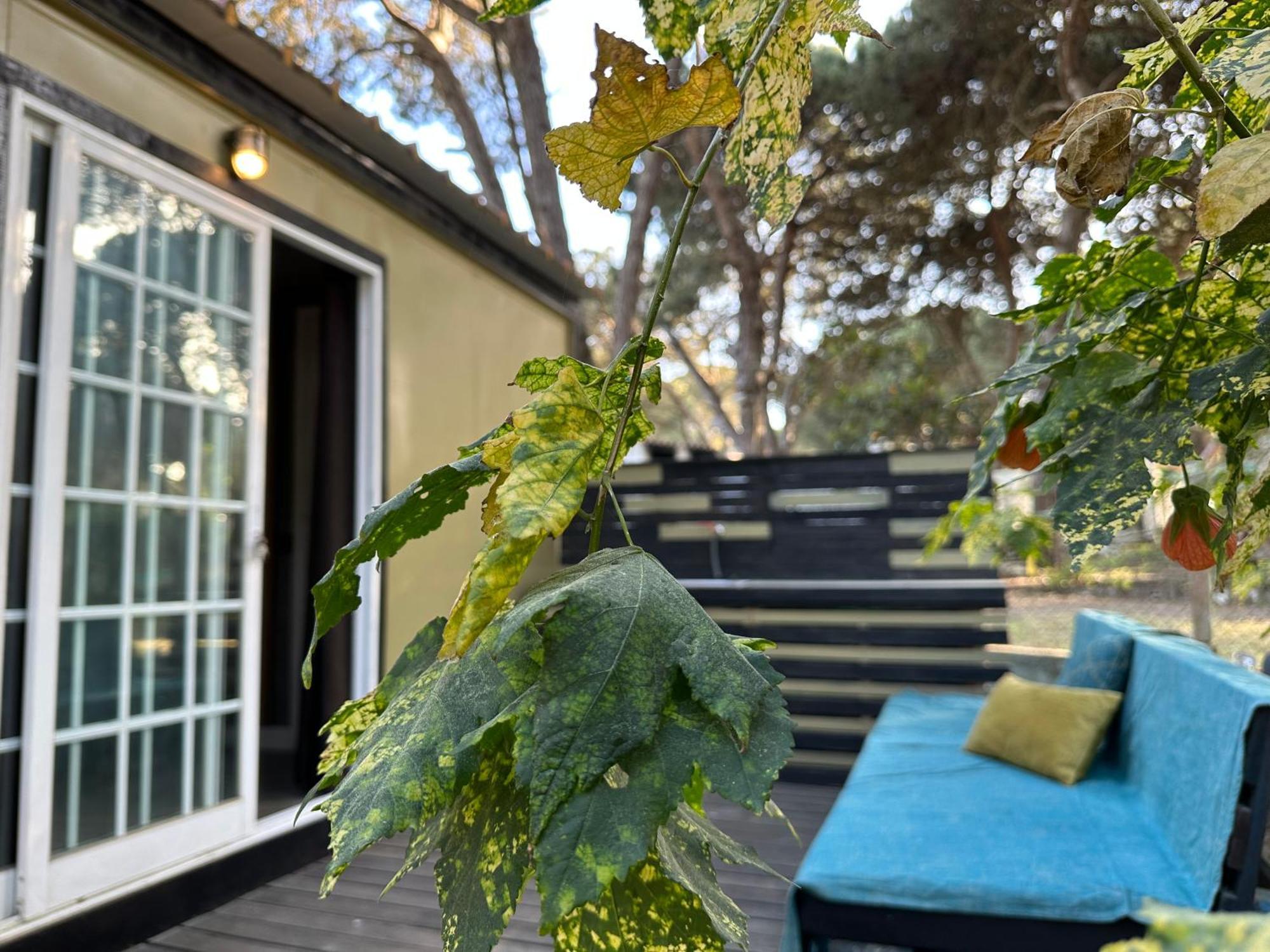 Eco-Friendly Beach House Sesimbra Exteriör bild