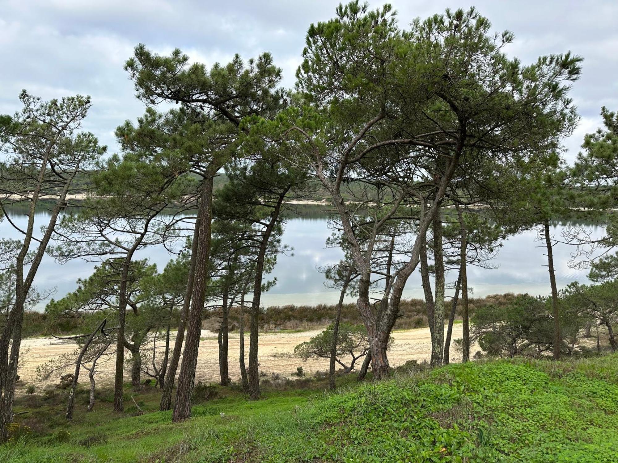 Eco-Friendly Beach House Sesimbra Exteriör bild